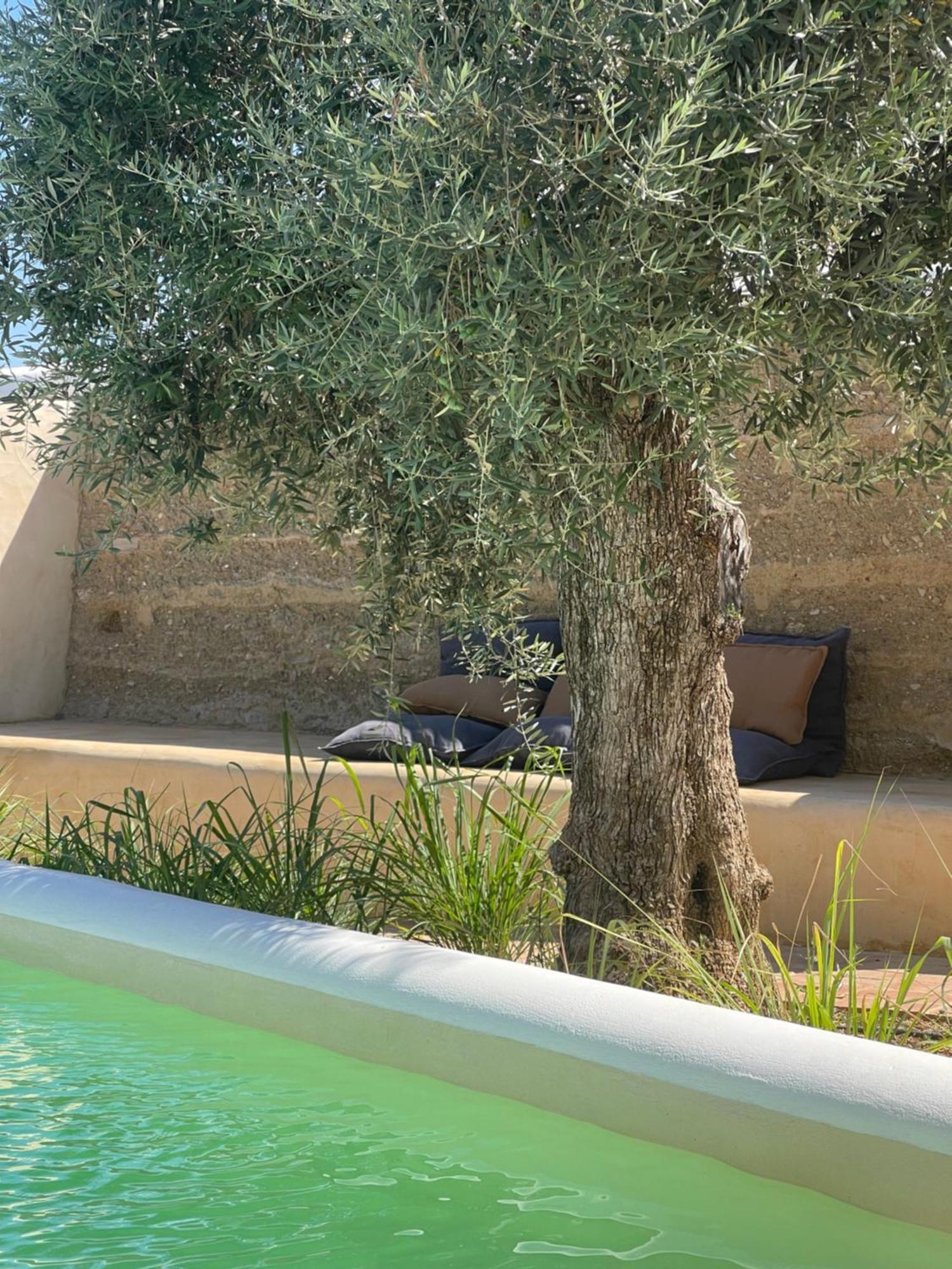 Uma Casa Em Entradas Guesthouse Exterior photo